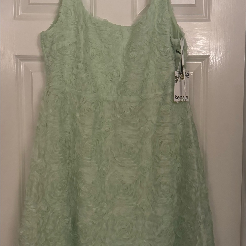 Kensie Light Green Textured Dress